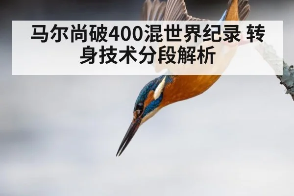 马尔尚破400混世界纪录 转身技术分段解析